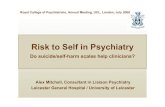 RCPsych AGM08 - Risk of Self Harm Evidence for Scales (July08)