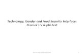 Topic 12 gender technology interface