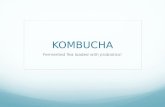 Kombucha - Probiotics
