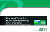 Practical tools for_economic_recovery_220311.ppt[1]