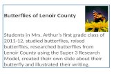 Mrs. Arthur's Class 2011-12 - Butterflies of Lenoir County