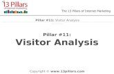 Visitor Analysis - Internet Marketing Pillar #11