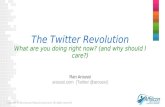 The Twitter Revolution Ran Aroussi June 2009