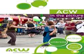 ACW in the picture (english)