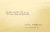 Caledonia copper mine vfe