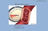section 5, chapter 15: blood pressure