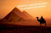 Ecology 3 energy and ecology ecological pyramids