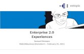 Enterprise 2.0 Experiences