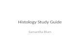 Samantha Blum  histo study guide 1
