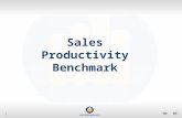 The Sales Productivity Benchmark: Rate your Sales Force Against World Class