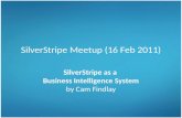 SilverStripe as a Business Intelligence System