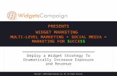 Widgets Campaign Presentation