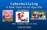 Cyberbullying Presentation