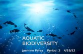 Jasmine aquatic diversity