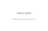Sulfur cycle