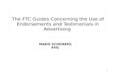 FTC Endorsement Guides