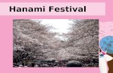 Hanami and Tanabata Festival