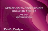 Apache Roller, Acegi Security and Single Sign-on