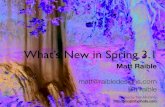 What's New in Spring 3.1