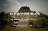 Maya presentation