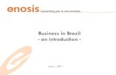 Business In Brazil: an Introduction