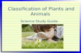 Classification of-plants-and-animals