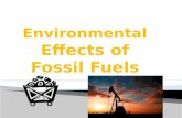 Fossil fuel conservation