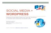 Social Media Overview for WordPress