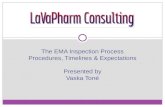 Ema inspection process