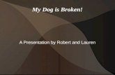 My dog is broken!