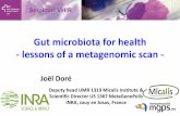Gut microbiota for health: lessons of a metagenomic scan (by Joel Doré)
