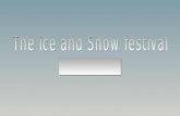 Snow Icefestival 122609