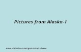 Pictures From Alaska 1