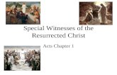 Specail witnesses of the ressurected christ