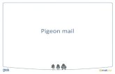 Pigeon mail
