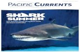 2009 Pacific Currents Summer
