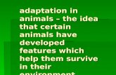 Adaptation in animals 001