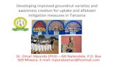 3.3 groundnut aflatoxin project