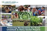 Financing mechanisms for rural livestock & dairy sector players by ariong abbey