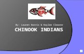 Chinook indians