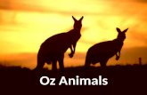 Oz animals