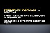 Public advocacy   effective lobbying