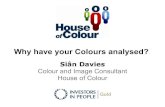 Why have your Colours Analysed?