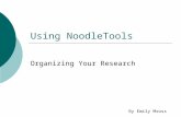 Using noodle tools lesson