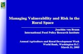 Managing Vulnerability and Risk in the Rural Space