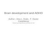 Brain developm adhd2
