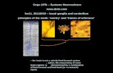 COGS 107B - Winter 2010 - Lecture 11 - Basal Ganglia and Cerebellum
