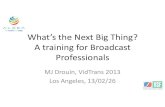 What's the Next Big Thing - A Training for Broadcast Professionals