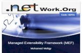 Managed Extensibility Framework (MEF)