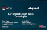 Sap integration with_j_boss_technologies